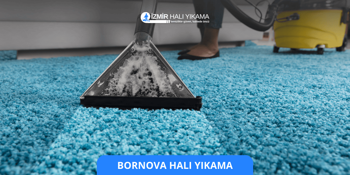 Bornova Halı Yıkama