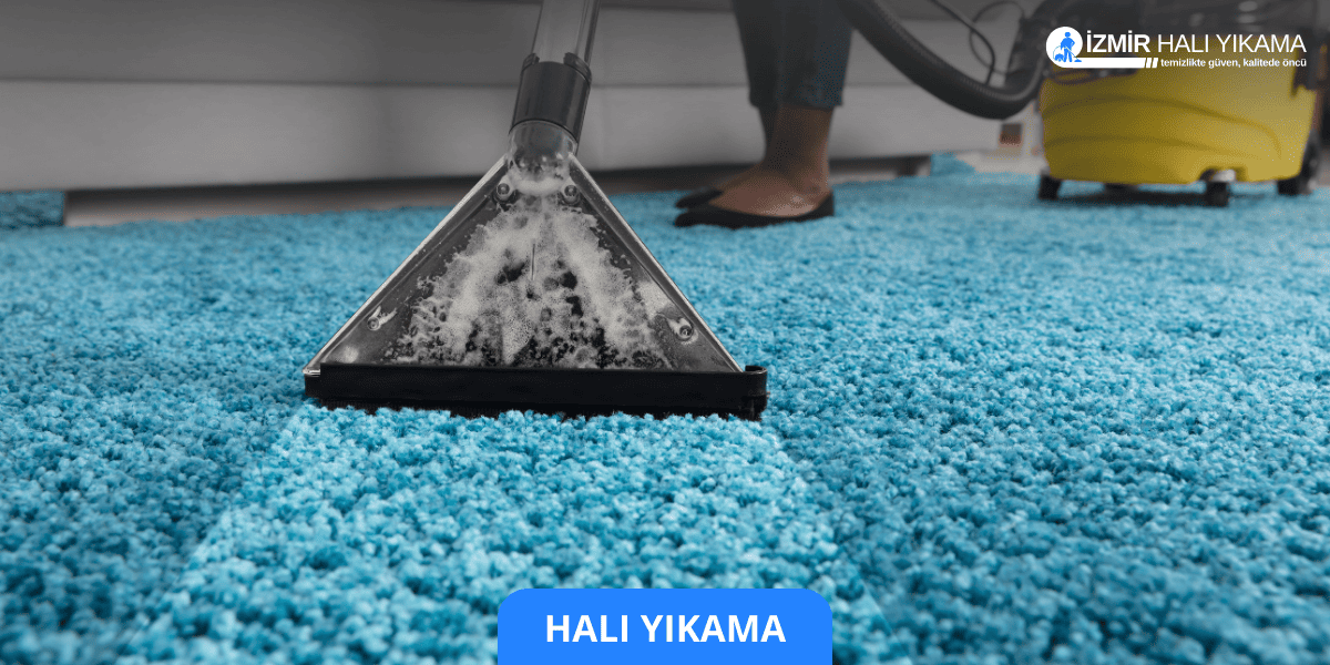 Halı Yıkama