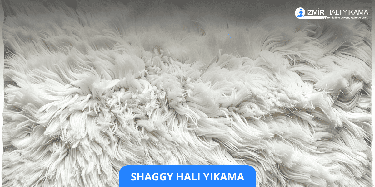 Shaggy Halı Yıkama